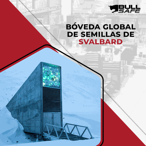 Imagen de la diapositiva